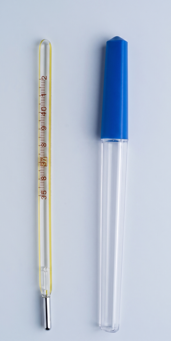 Mercury Thermometer
